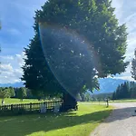 Bauernhof Helpferer Ramsau am Dachstein