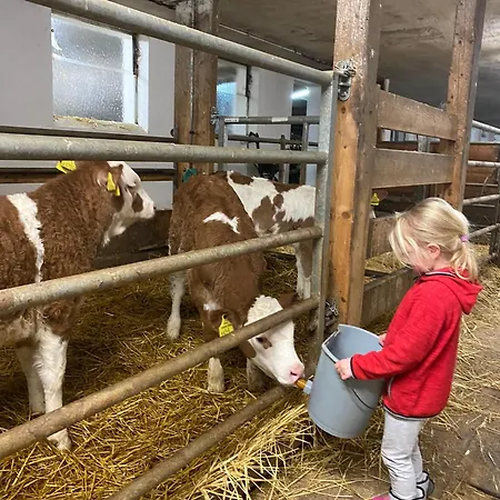 Bauernhof Helpferer Apartman Ramsau am Dachstein