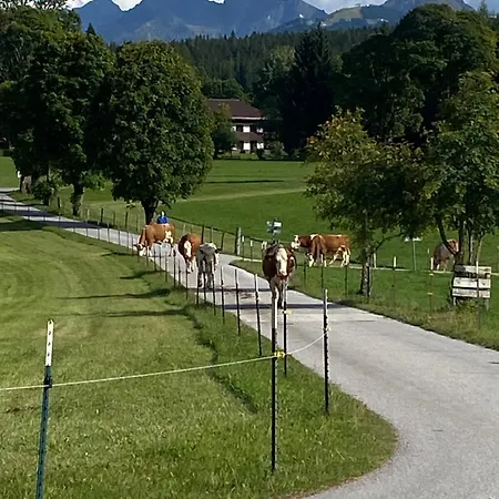Apartament Bauernhof Helpferer Ramsau am Dachstein