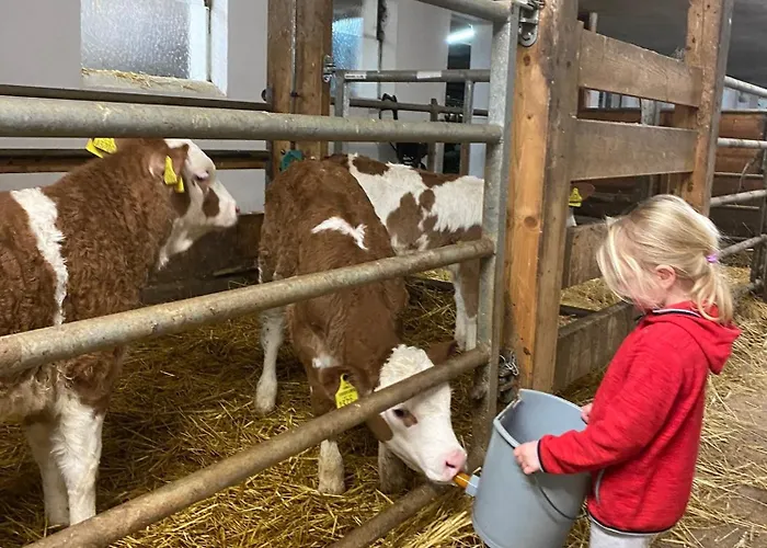 Bauernhof Helpferer Διαμέρισμα Ramsau am Dachstein