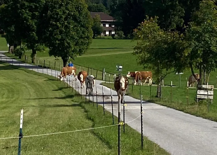 Daire Bauernhof Helpferer Ramsau am Dachstein